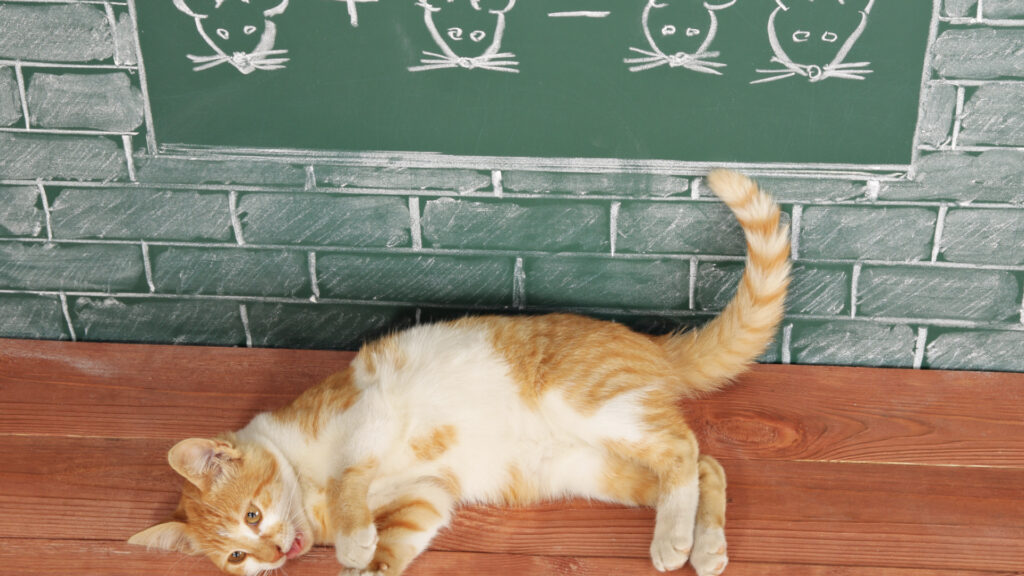 顧客を教育イメージ